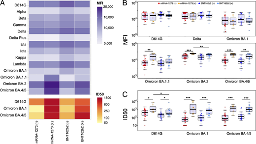 Immunogenicity of mRNA-1273 and BNT162b2 vaccines in children <5 years of age by history of before SARS-CoV-2 infection. SARS-CoV-2-specific antibody binding and neutralization activity were compared by vaccine product and previous SARS-CoV-2 infection history (mRNA-1273 recipients without previous infection: n = 28; mRNA-1273 recipients with previous infection: n = 12; BNT162b2 recipients without previous infection: n = 18; BNT162b2 recipients with previous infection: n = 17). A, The top heatmap displays the geometric means of SARS-CoV-2 variant-specific antibody by BAMA within each vaccine product by previous infection status. Antibody binding is expressed as mean fluorescence intensity of serum antibodies specific to SARS-CoV-2 Spike proteins for each variant. The bottom heatmap displays the geometric means of antibody neutralization titers (ID50) by vaccine product for each variant evaluated. B, Antibody binding of Spike proteins from D614G, Delta, and Omicron variants are expressed as mean fluorescence intensity (MFI) for each vaccine product by previous nfection status. Each point represents data from an individual participant. The red line indicates the median, and the top and bottom of the box indicate the first and third quartiles. C, Antibody-mediated neutralization of D614G, Omicron BA.1, and Omicron BA.4/5 pseudoviruses, reported as ID50, for each vaccine product by previous infection status. Each point represents data from an individual participant. The red line indicates the median, and the top and bottom of the box indicate the first and third quartiles. Statistical comparisons were made by using Wilcoxon rank-sum tests with P values adjusted for multiple comparisons (*Padj < .01; **Padj < .001; ***Padj < .0001).
