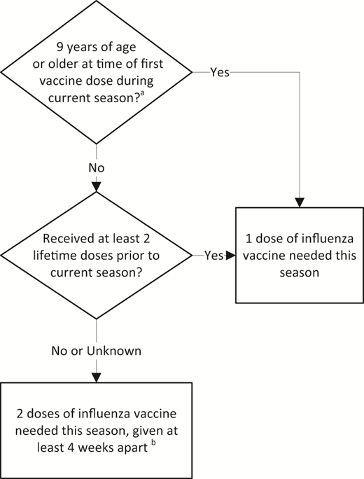 Number of 2024–2025 seasonal influenza vaccine doses recommended for children based on age and prior vaccination history. a Must be at least 6 months of age to be eligible for influenza vaccine. b Second dose still required for children who turn 9 between first and second dose.