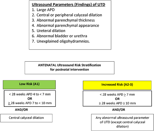 *Prenatal ultrasound risk stratification. Stratification is based upon the most concerning ultrasound finding. For example, a fetus with an anterior-posterior renal pelvis diameter (APD) within the UTD A1 range but with peripheral calyceal dilation would be classified as UTD A2-3.