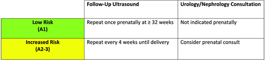 Suggested PRENATAL Management Based Upon US < 32 weeks.
