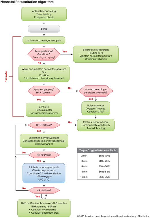 Part 5: Neonatal Resuscitation: 2025 American Heart Association and ...