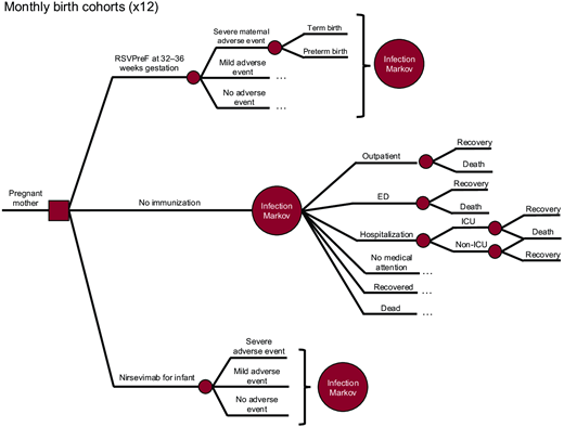 Decision tree diagram with 3 branches, 1 for each strategy. Each branch leads to an “Infection Markov” node with subbranches indicating the possible monthly RSV-related outcomes within our model.