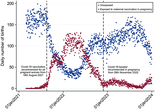 This scatterplot shows the daily number of births by exposure to maternal COVID-19 vaccination in pregnancy over the study period. Exposed children were more likely to be born between September 2021 and December 2022.