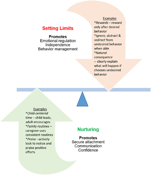 Framework for Approaching Healthy Mental and Emotional Development in ...